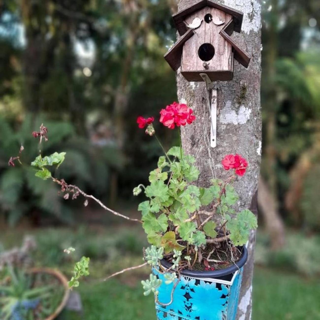 Chalé Temático em Pipa de Vinho - Parada da Pipa Chalés Canela Exterior foto