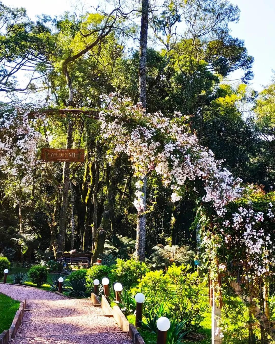 Chalé Temático em Pipa de Vinho - Parada da Pipa Chalés Canela Exterior foto